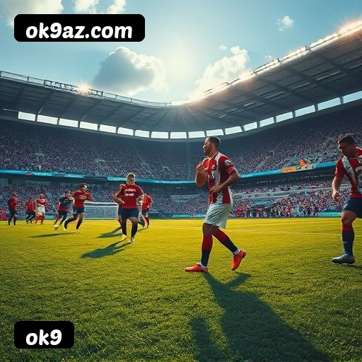 Logo da ok9